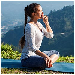 La Ciencia del Pranayama